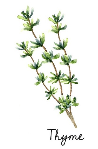 Thyme for Acne