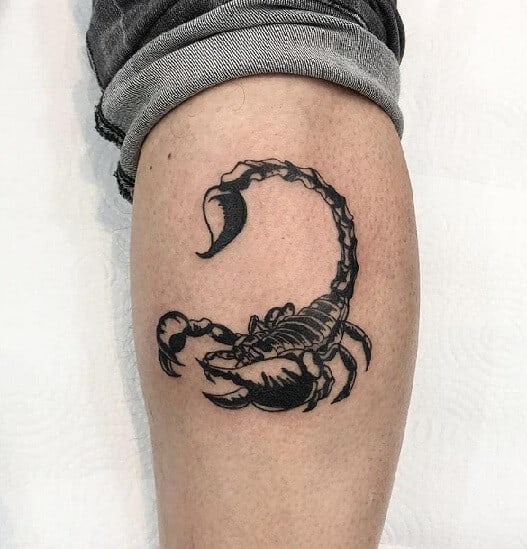 Scorpion Tattoo Designs