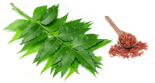 Neem And Chandan for Glowing Skin