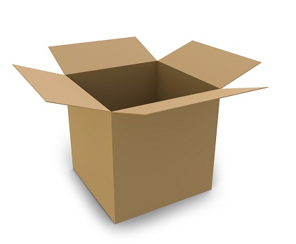 Useful Cardboard Box to Keep Away the Lizards