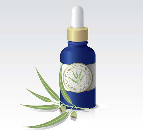 Eucalyptus Oil For Lizards