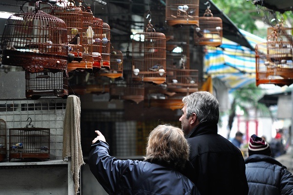 bird-garden_hong-kong-tourist-places