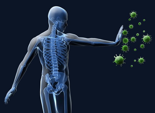 Aloe Vera Helps To Boost The Immune System