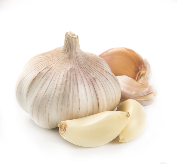 Garlic 5