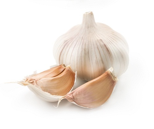 Garlic