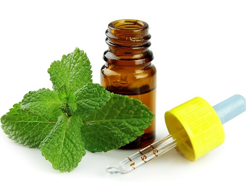 Peppermint Oil