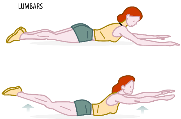 strenth Exercises 4 lumbars