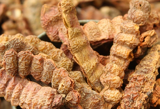 Indian Women Beauty Tips and Secrets - Shikakai