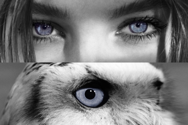 Stradivarius ‘New Sight’ Lookbook Fall 2020