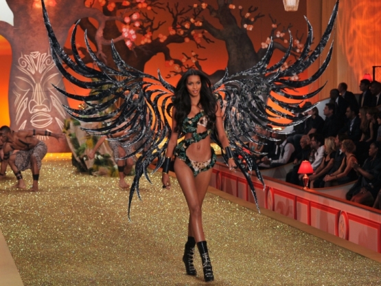 Victoria’s Secret Wings Marketing Strategy on Facebook