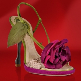 Rene Caovilla Shoes Red Carpet Favorites