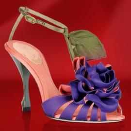 Rene Caovilla Shoes Red Carpet Favorites