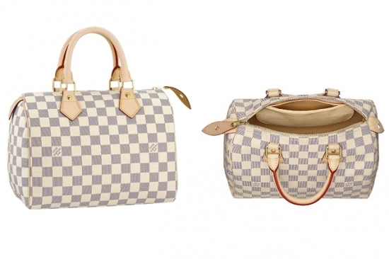 Louis Vuitton Speedy 25 Bags