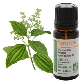 Homemade Lip Plumper Recipes