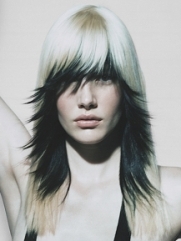 Two Tone Hairstyles
