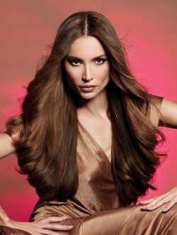 Formal Hairstyle Ideas