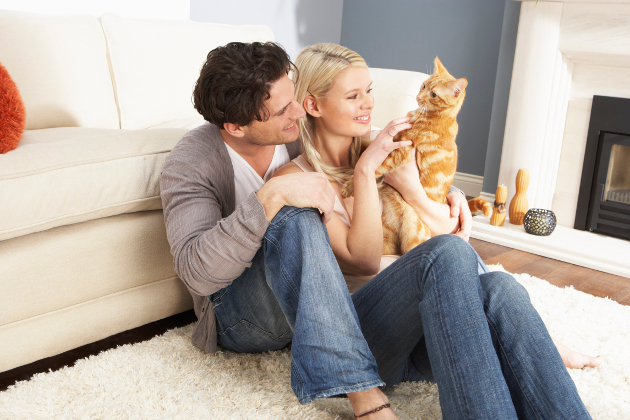 Is Your Relationship Ready for a Pet?