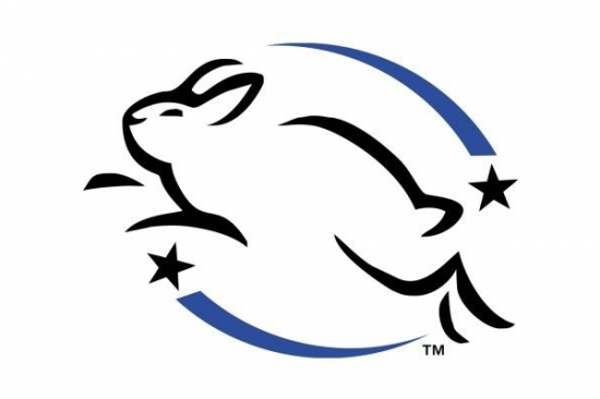 Makeup Brands That Test on Animals VS Cruelty Free Brands