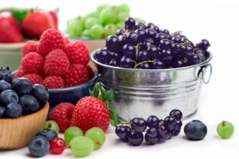 Foods That Make You Smarter