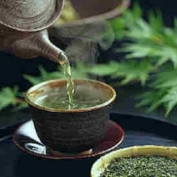 Foods that Fight Belly Fat