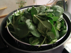 Energy Boosting Foods