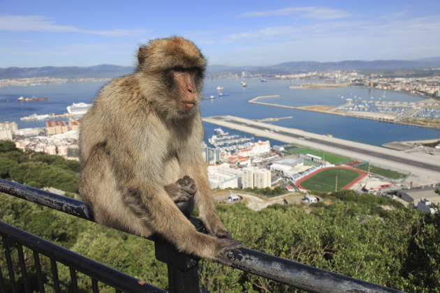 Are These the Most Overrated Vacation Destinations?