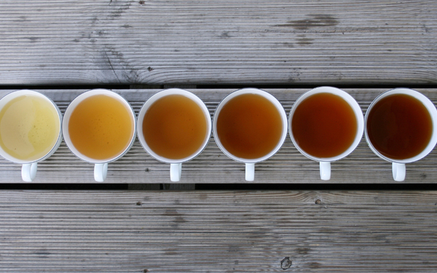 Best Herbal Teas for Digestive Problems