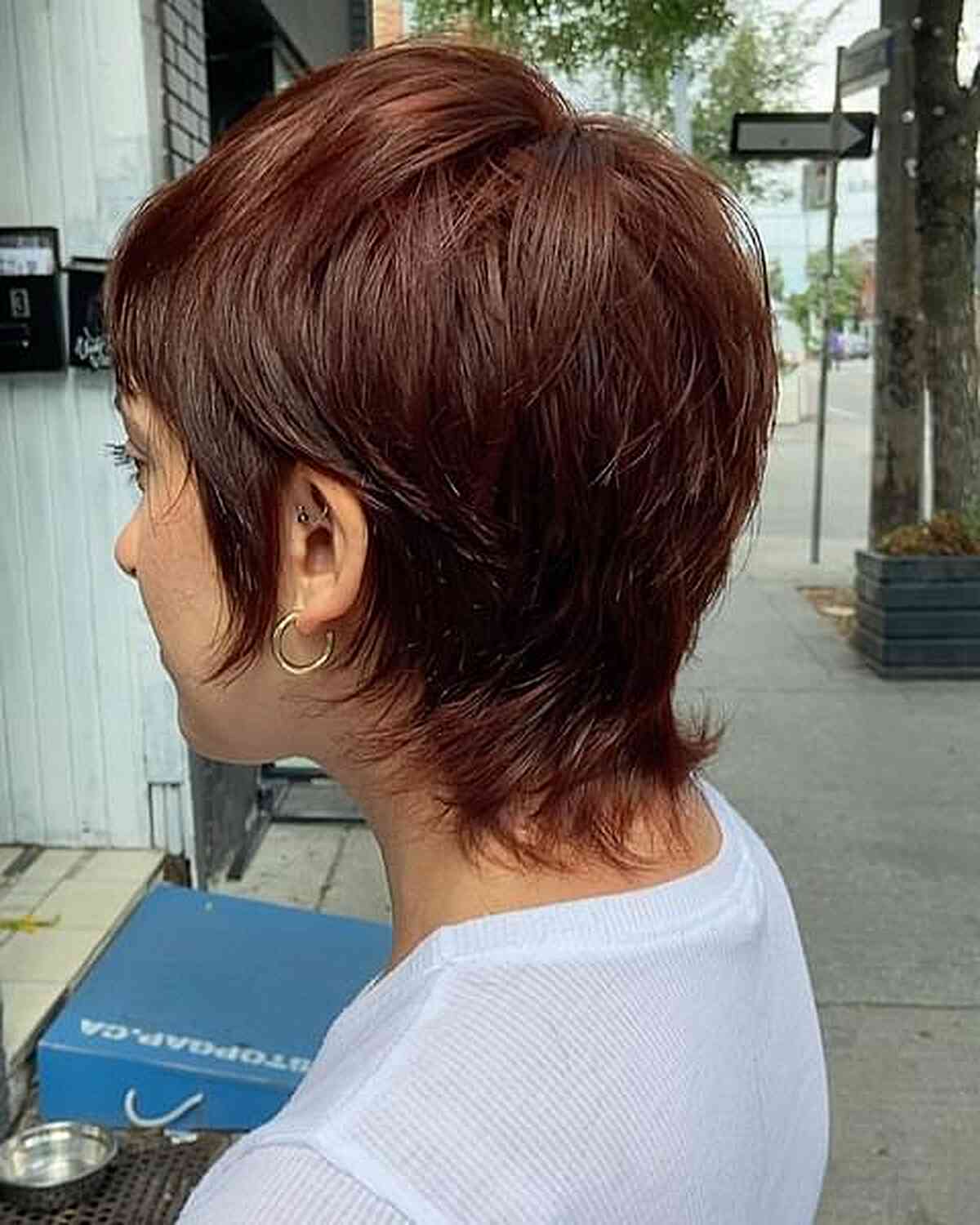 28 Incredible Ways to Get the Wixie Cut Hair Trend