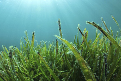 Best Kept Japanese Beauty Secrets Revealed | Stylesatlife