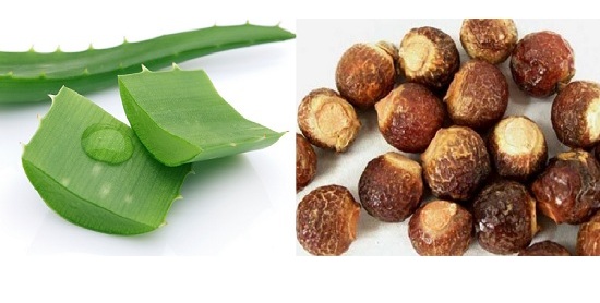 How to Use Aloe Vera For Dandruff? 6 Proven Methods | I Fashion Styles