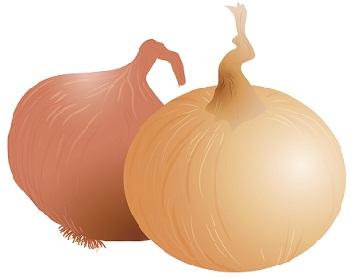 8 Effective Ways to Use Onion for Treating Dandruff | I Fashion Styles