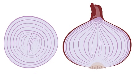8 Effective Ways to Use Onion for Treating Dandruff | I Fashion Styles