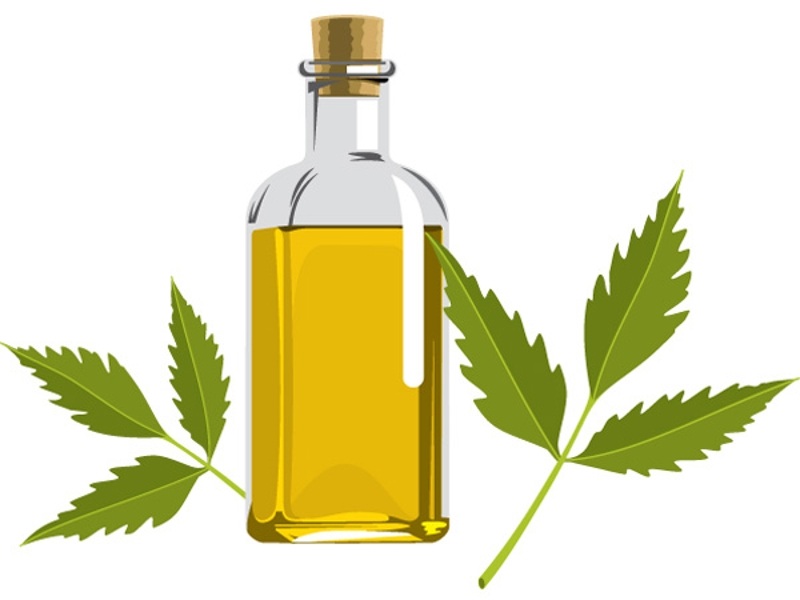 Neem Oil For Dandruff: How to Use and Benefits | I Fashion Styles