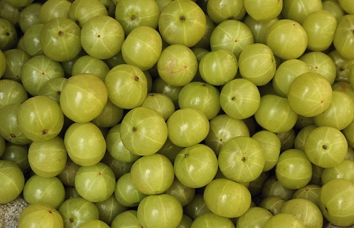 10 Natural Remedies for Hair Fall: Say Goodbye to Thinning Hair