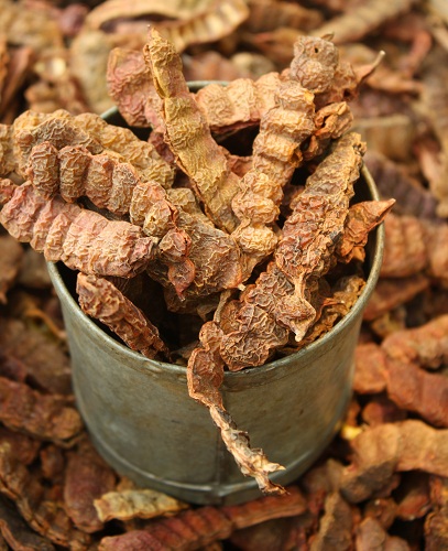 15 Amazing Home Remedies For Hair Thinning