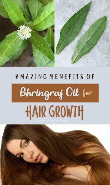 How to Use Bhringraj Oil for Hair Growth? | I Fashion Styles