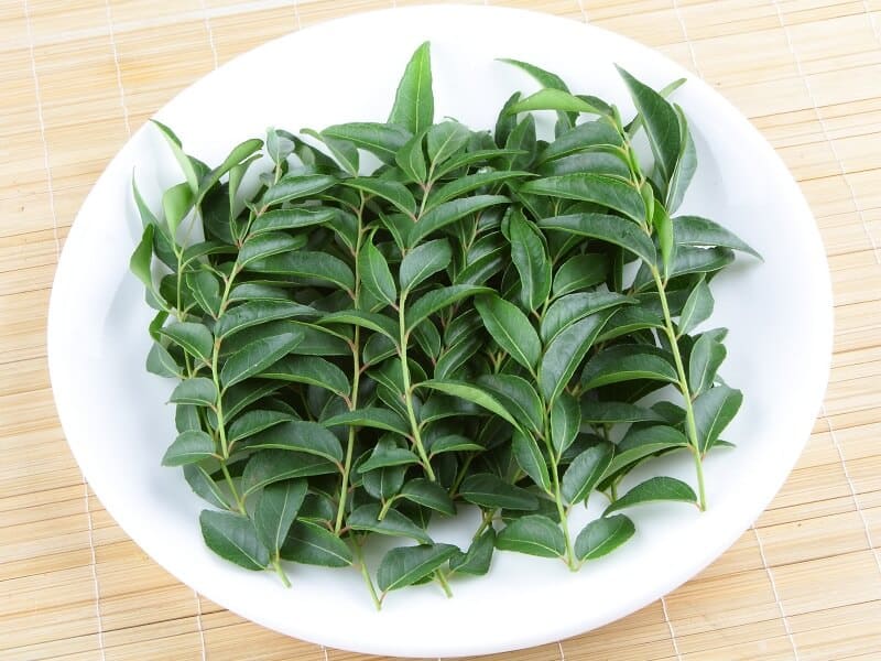 7 Surprising Benefits of Curry Leaves for Hair Growth | I Fashion Styles