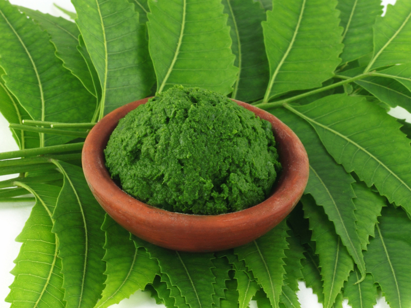 Neem Leaves for Hair Growth – Benefits &amp; DIY Hair Masks