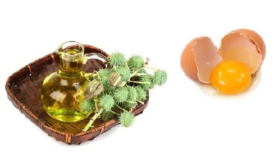 How To Use Eggs For Hair Growth? - Best Methods