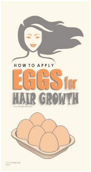 How To Use Eggs For Hair Growth? - Best Methods