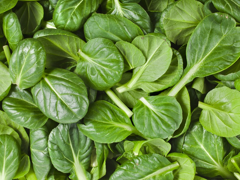 How to Use Spinach for Hair Growth? | I Fashion Styles