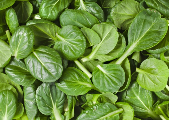 How to Use Spinach for Hair Growth? | I Fashion Styles