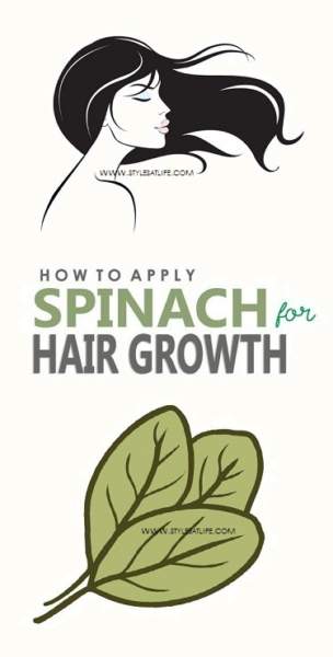 How to Use Spinach for Hair Growth? | I Fashion Styles