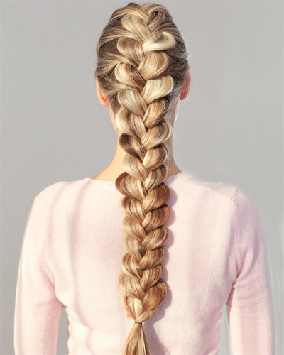 15 Inspiring French Braid Pics for Formal Events