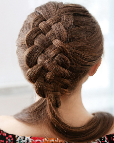 15 Inspiring French Braid Pics for Formal Events