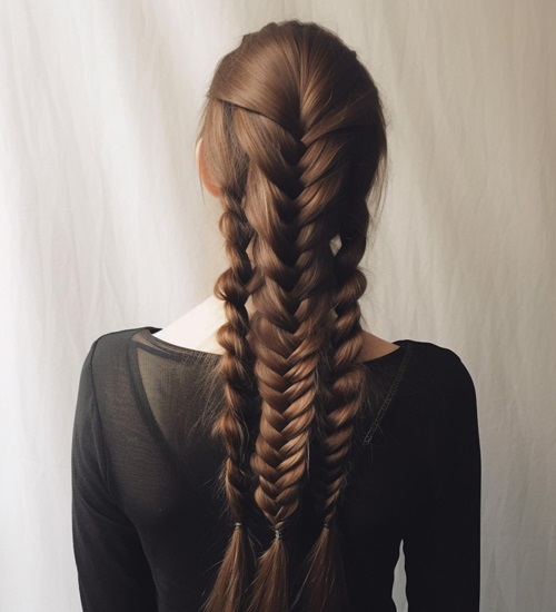 65 Different Types Braided Hairstyles for Women 2025