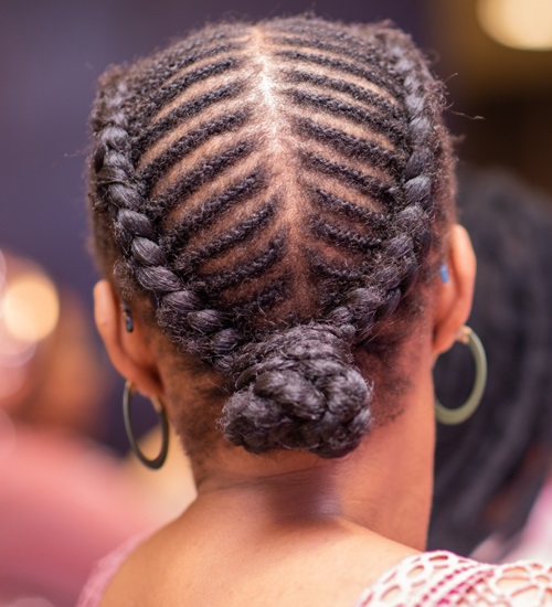 65 Different Types Braided Hairstyles for Women 2025