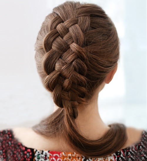 65 Different Types Braided Hairstyles for Women 2025