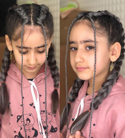 65 Different Types Braided Hairstyles for Women 2025