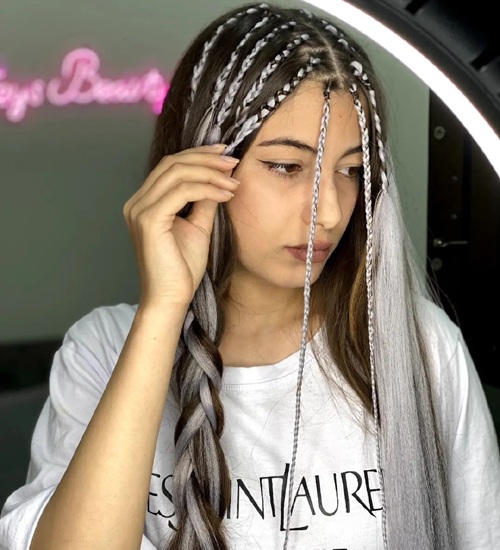 65 Different Types Braided Hairstyles for Women 2025